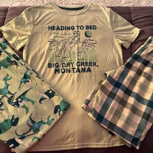 Cat & Jack Dinosaur Pajama Set - Green and Beige